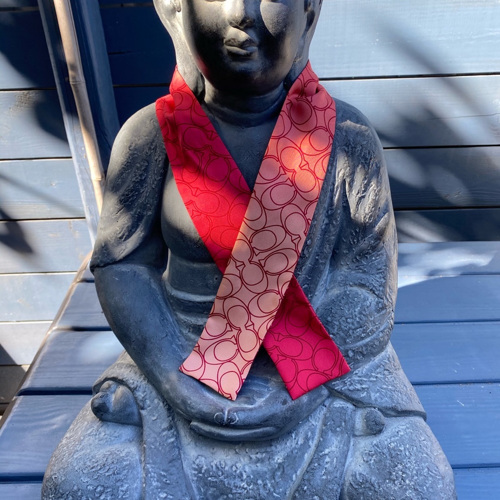 Coach Scarf